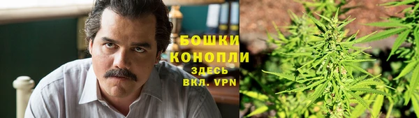 spice Осинники