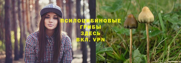 spice Осинники