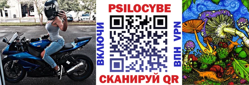 Псилоцибиновые грибы Magic Shrooms  Купить  Чёрмоз 